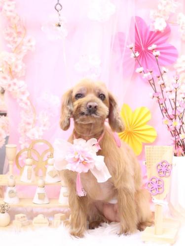 20250313紋之助くん